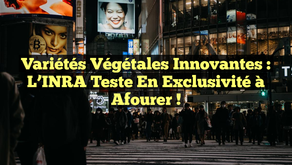 Variétés Végétales Innovantes : L&rsquo;INRA Teste en Exclusivité à Afourer !