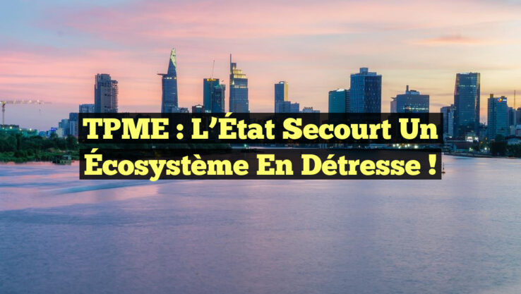 TPME : L’État Secourt un Écosystème en Détresse !