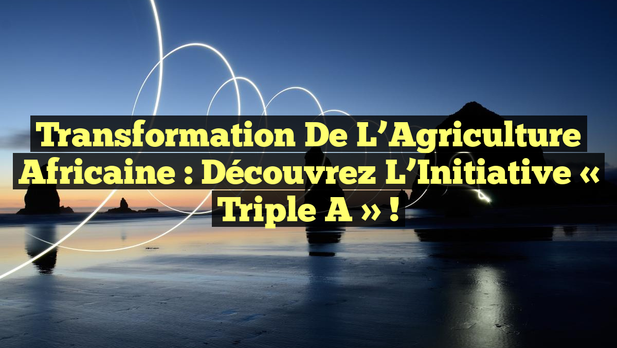 Transformation de l&rsquo;Agriculture Africaine : Découvrez l&rsquo;Initiative « Triple A » !