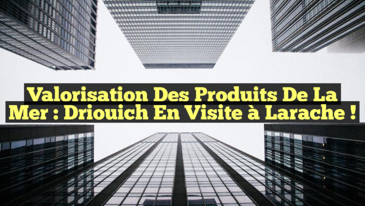 Valorisation des Produits de la Mer : Driouich en Visite à Larache !