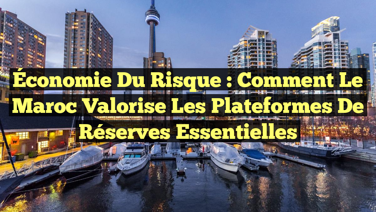 Économie du Risque : Comment le Maroc Valorise les Plateformes de Réserves Essentielles