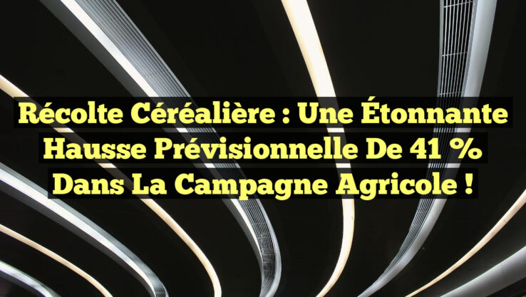 Récolte Céréalière : Une Étonnante Hausse Prévisionnelle de 41 % dans la Campagne Agricole !