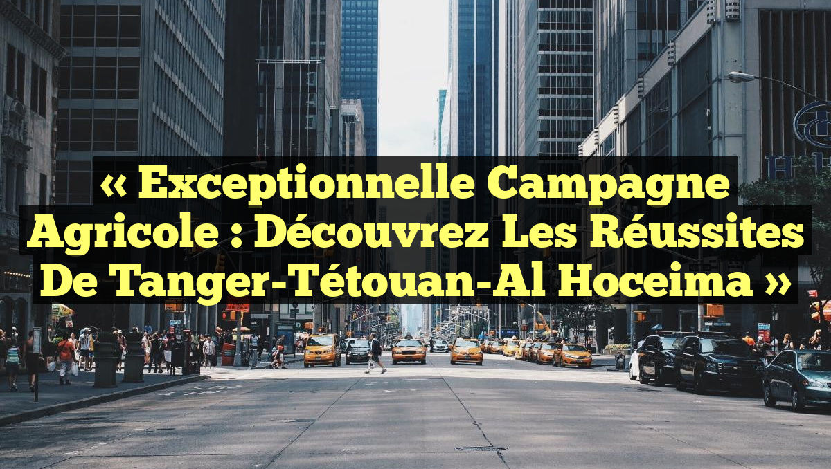 « Exceptionnelle campagne agricole : découvrez les réussites de Tanger-Tétouan-Al Hoceima »