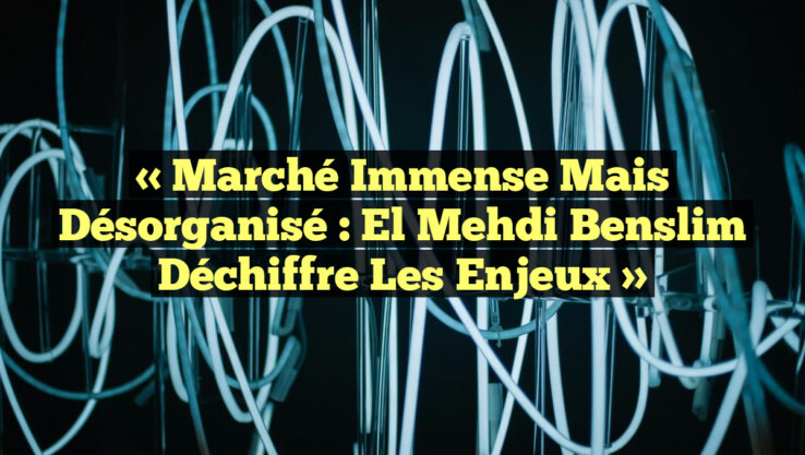 « Marché immense mais désorganisé : El Mehdi Benslim déchiffre les enjeux »
