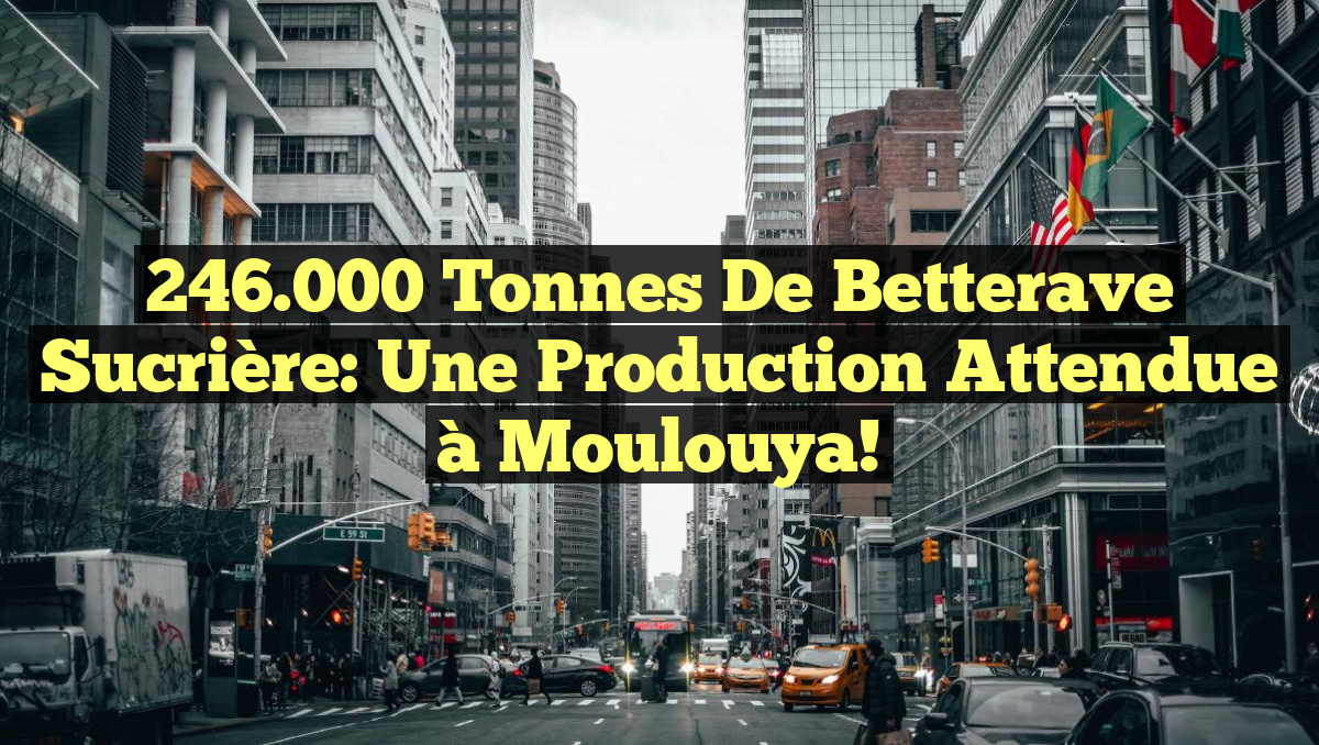 246.000 Tonnes de Betterave Sucrière: Une Production Attendue à Moulouya!