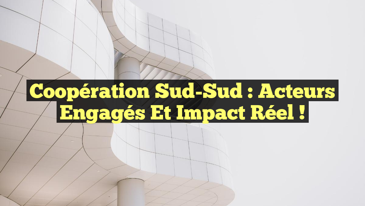 Coopération Sud-Sud : Acteurs Engagés et Impact Réel !