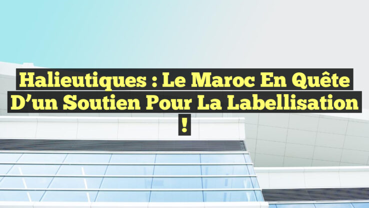 Halieutiques : Le Maroc en quête d’un soutien pour la labellisation !