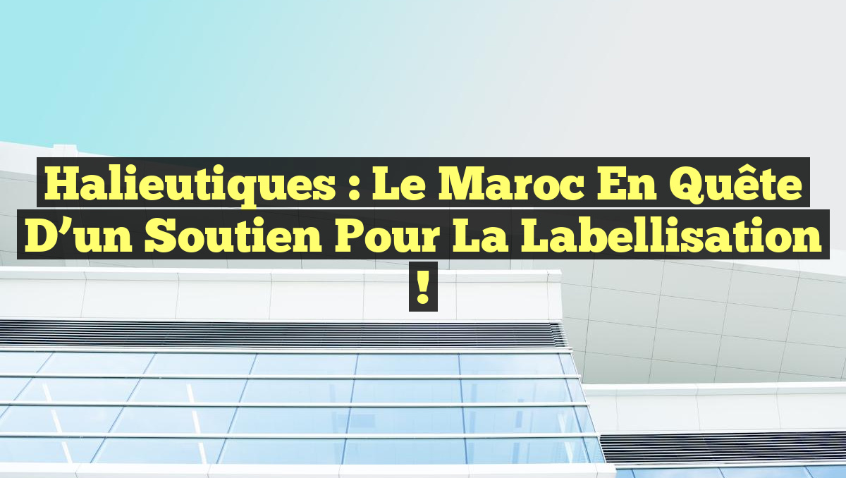 Halieutiques : Le Maroc en quête d&rsquo;un soutien pour la labellisation !