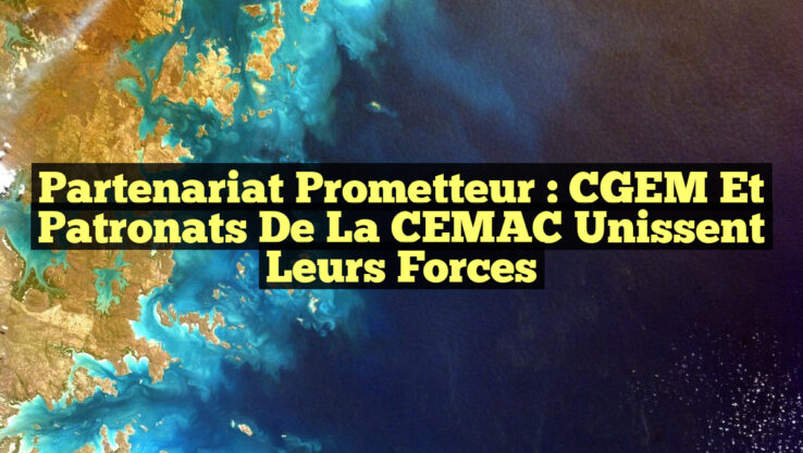 Partenariat Prometteur : CGEM et Patronats de la CEMAC Unissent leurs Forces Partenariat Prometteur : CGEM et Patronats de la CEMAC Unissent leurs Forces