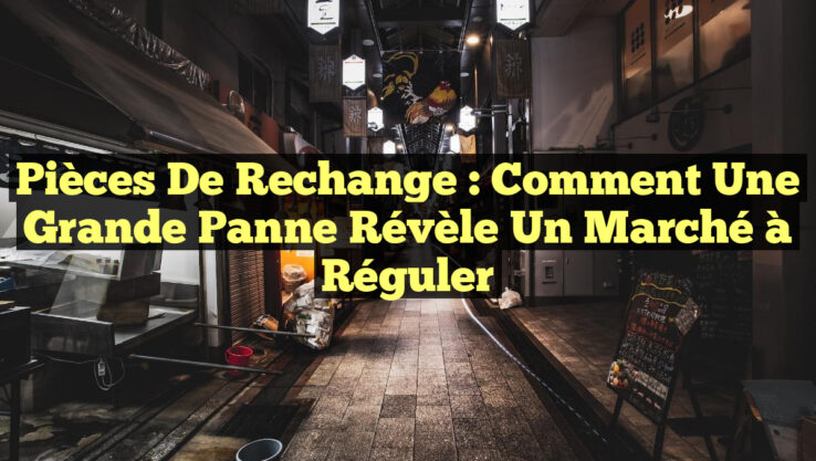 Pièces de Rechange : Comment une Grande Panne Révèle un Marché à Réguler