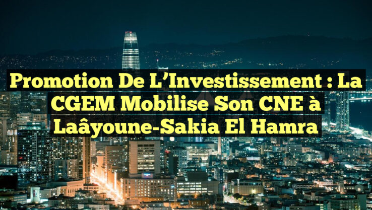 Promotion de l’Investissement : La CGEM Mobilise son CNE à Laâyoune-Sakia El Hamra