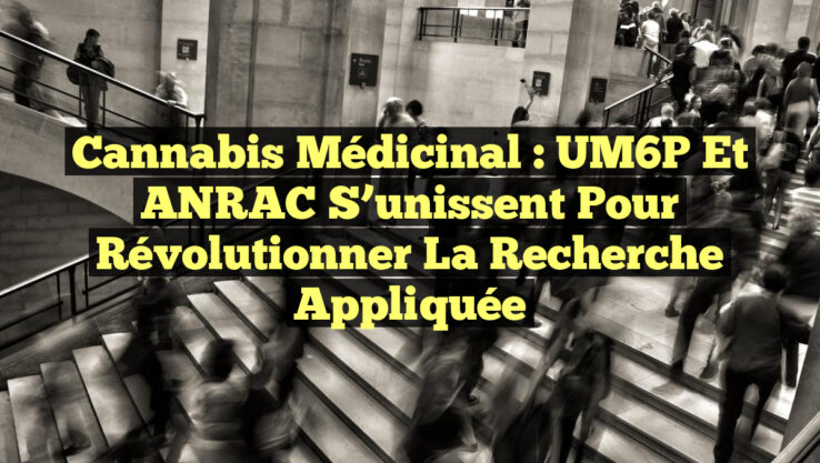 Cannabis Médicinal : UM6P et ANRAC s’unissent pour Révolutionner la Recherche Appliquée