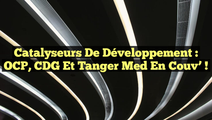 Catalyseurs de développement : OCP, CDG et Tanger Med en Couv’ !
