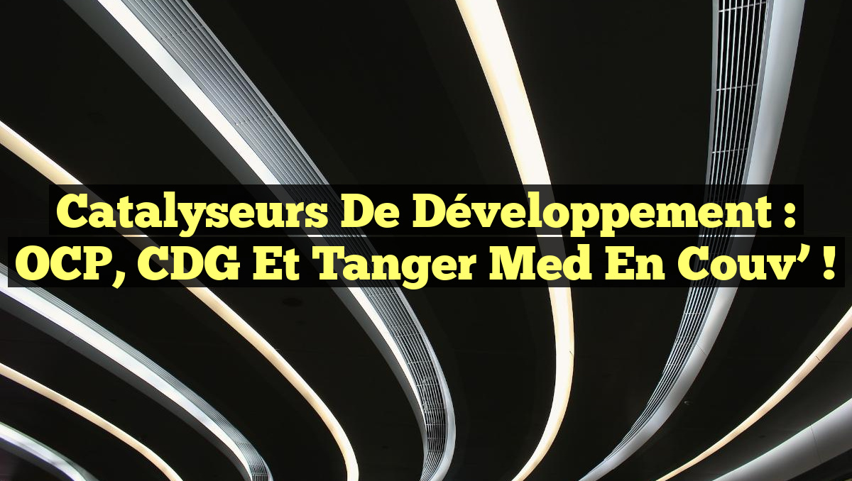 Catalyseurs de développement : OCP, CDG et Tanger Med en Couv’ !