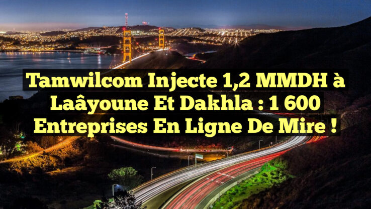 Tamwilcom injecte 1,2 MMDH à Laâyoune et Dakhla : 1 600 entreprises en ligne de mire !