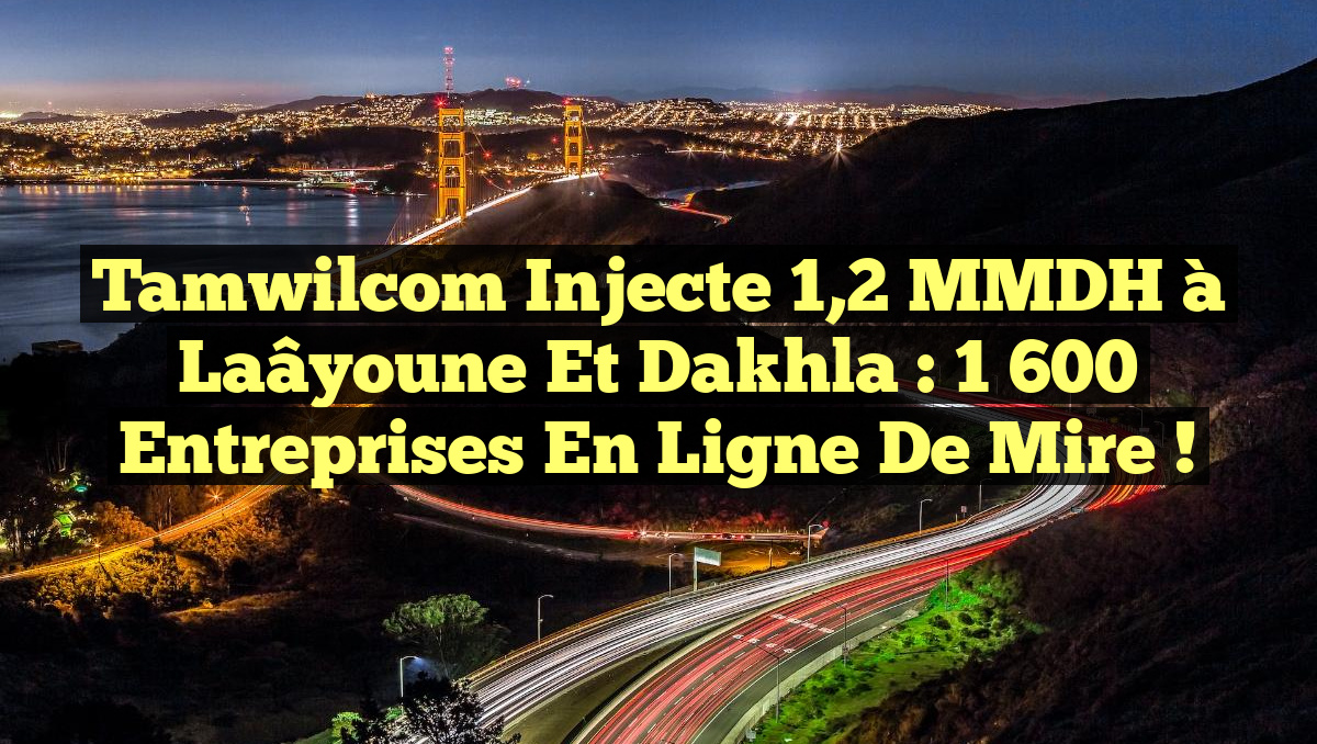 Tamwilcom injecte 1,2 MMDH à Laâyoune et Dakhla : 1 600 entreprises en ligne de mire !