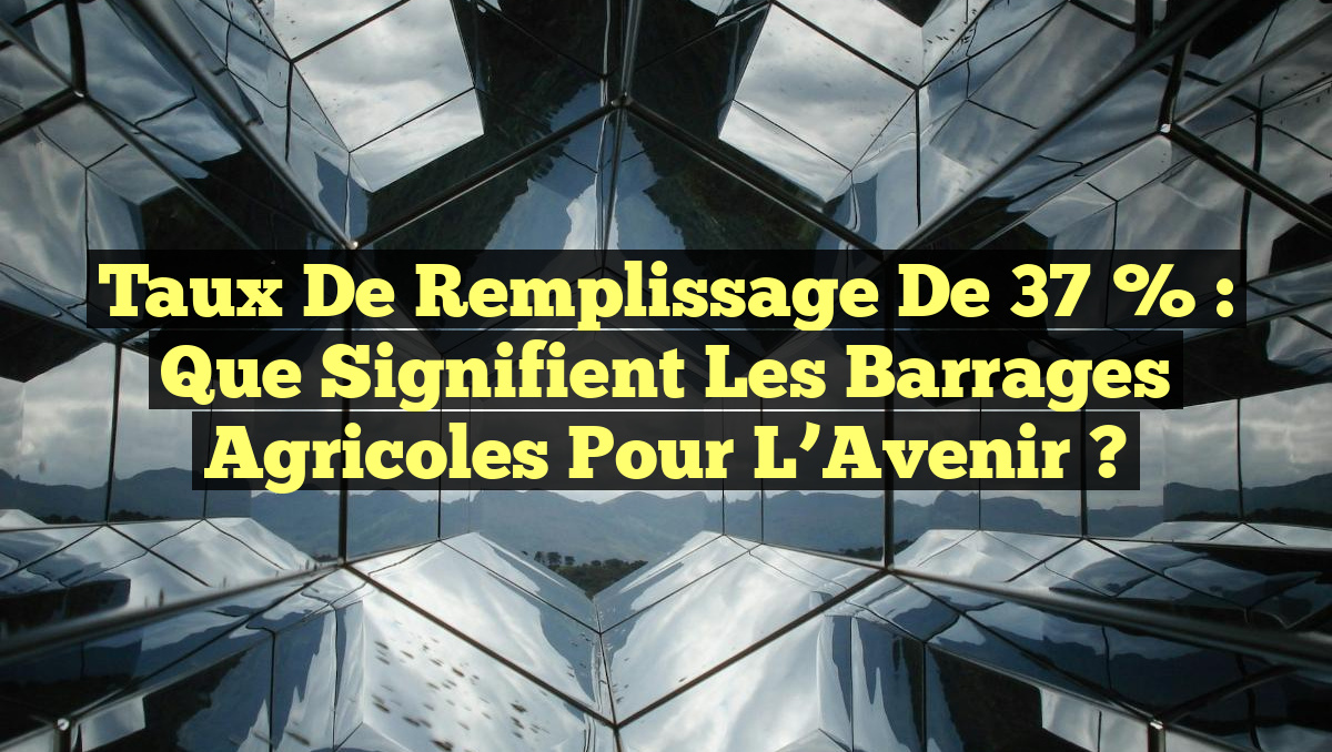 Taux de Remplissage de 37 % : Que Signifient les Barrages Agricoles pour l&rsquo;Avenir ?