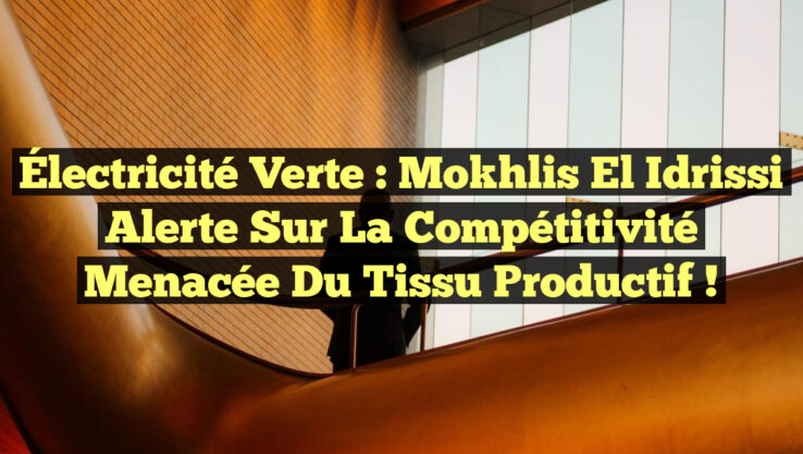 Électricité Verte : Mokhlis El Idrissi alerte sur la compétitivité menacée du tissu productif !
