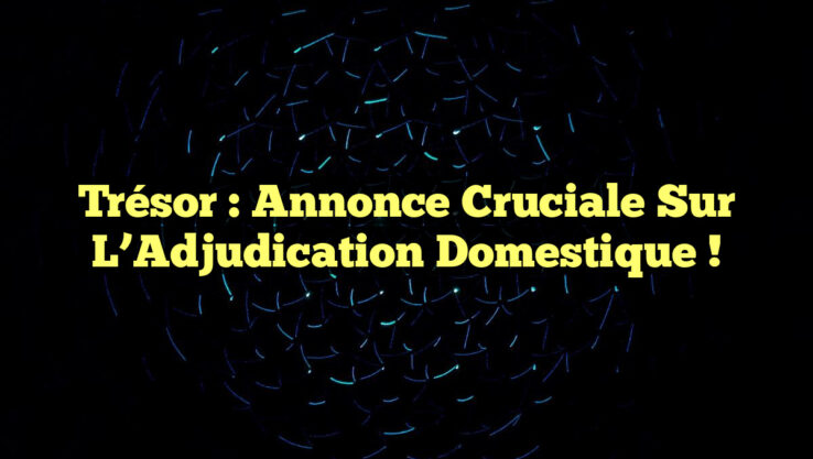 Trésor : Annonce Cruciale sur l’Adjudication Domestique !