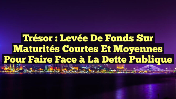 Trésor : Levée de Fonds Sur Maturités Courtes et Moyennes pour Faire Face à la Dette Publique