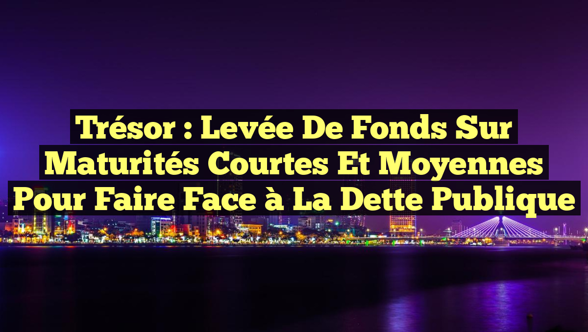 Trésor : Levée de Fonds Sur Maturités Courtes et Moyennes pour Faire Face à la Dette Publique