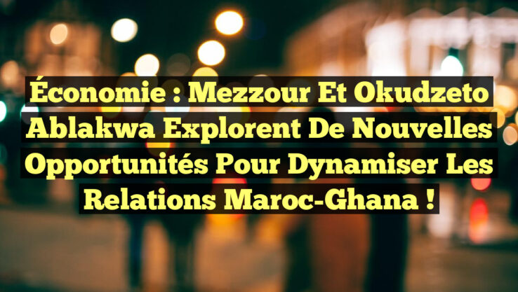 Économie : Mezzour et Okudzeto Ablakwa explorent de nouvelles opportunités pour dynamiser les relations Maroc-Ghana !