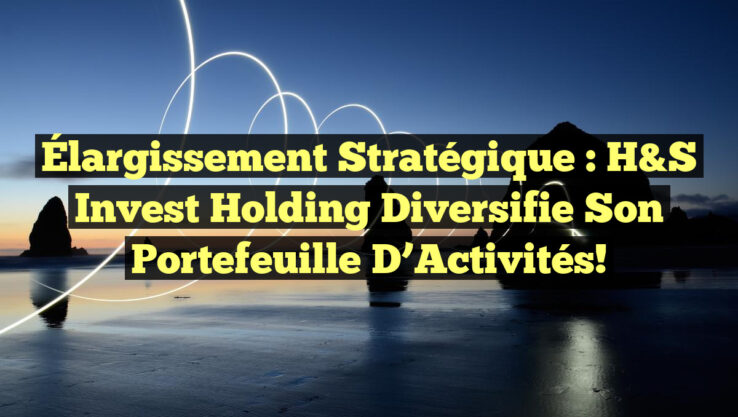 Élargissement Stratégique : H&S Invest Holding Diversifie Son Portefeuille d’Activités!