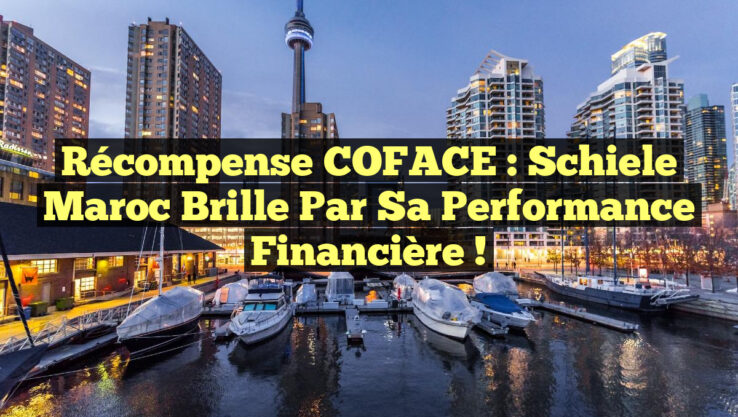 Récompense COFACE : Schiele Maroc brille par sa performance financière !