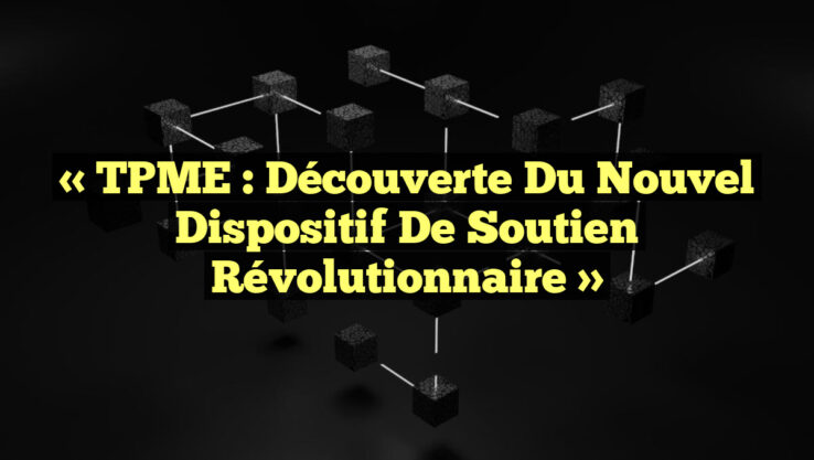 « TPME : Découverte du Nouvel Dispositif de Soutien Révolutionnaire »
