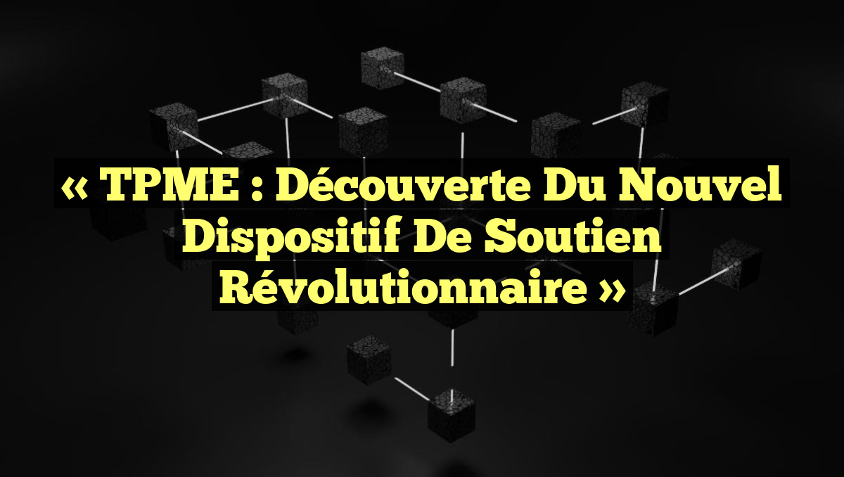 « TPME : Découverte du Nouvel Dispositif de Soutien Révolutionnaire »