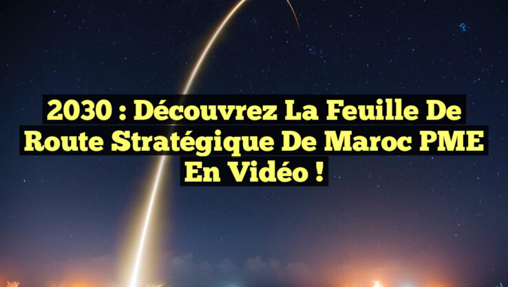 2030 : Découvrez la Feuille de Route Stratégique de Maroc PME en Vidéo !