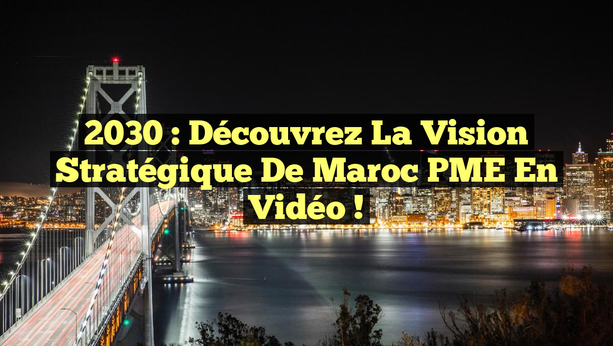 2030 : Découvrez la Vision Stratégique de Maroc PME en Vidéo !