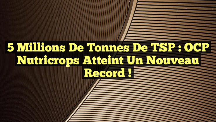 5 Millions de Tonnes de TSP : OCP Nutricrops Atteint un Nouveau Record ! 5 Millions de Tonnes de TSP : OCP Nutricrops Atteint un Nouveau Record !