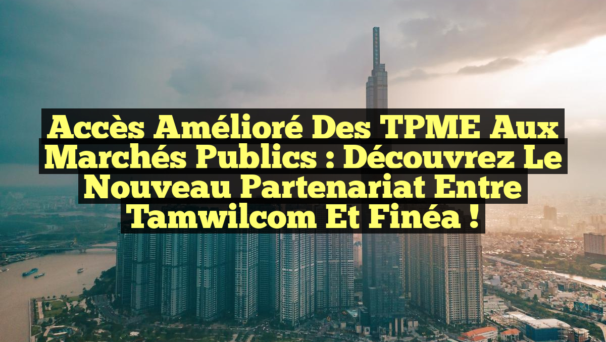 Accès Amélioré des TPME aux Marchés Publics : Découvrez le Nouveau Partenariat entre Tamwilcom et Finéa !