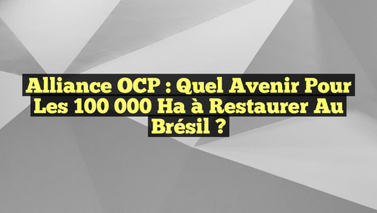 Alliance OCP : Quel avenir pour les 100 000 ha à restaurer au Brésil ? Alliance OCP : Quel avenir pour les 100 000 ha à restaurer au Brésil ?
