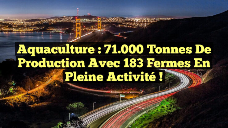 Aquaculture : 71.000 tonnes de production avec 183 fermes en pleine activité !