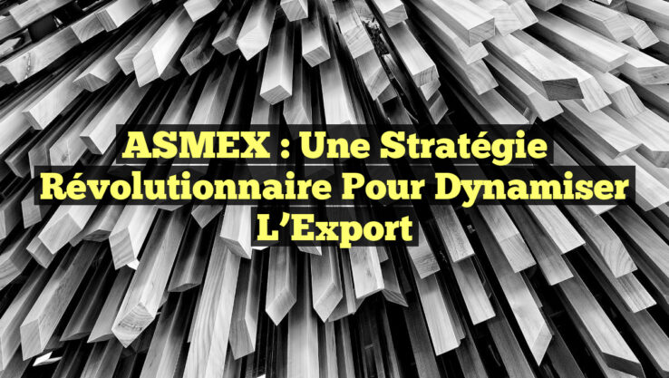 ASMEX : Une Stratégie Révolutionnaire pour Dynamiser l’Export