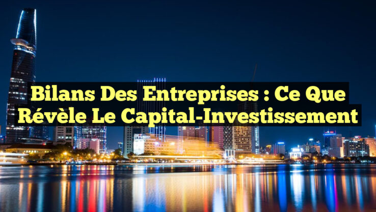 Bilans des Entreprises : Ce que Révèle le Capital-Investissement
