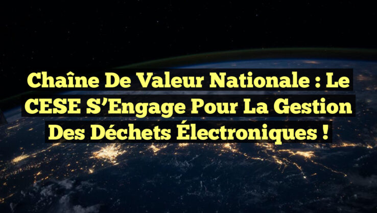 Chaîne de Valeur Nationale : Le CESE S’Engage pour la Gestion des Déchets Électroniques !