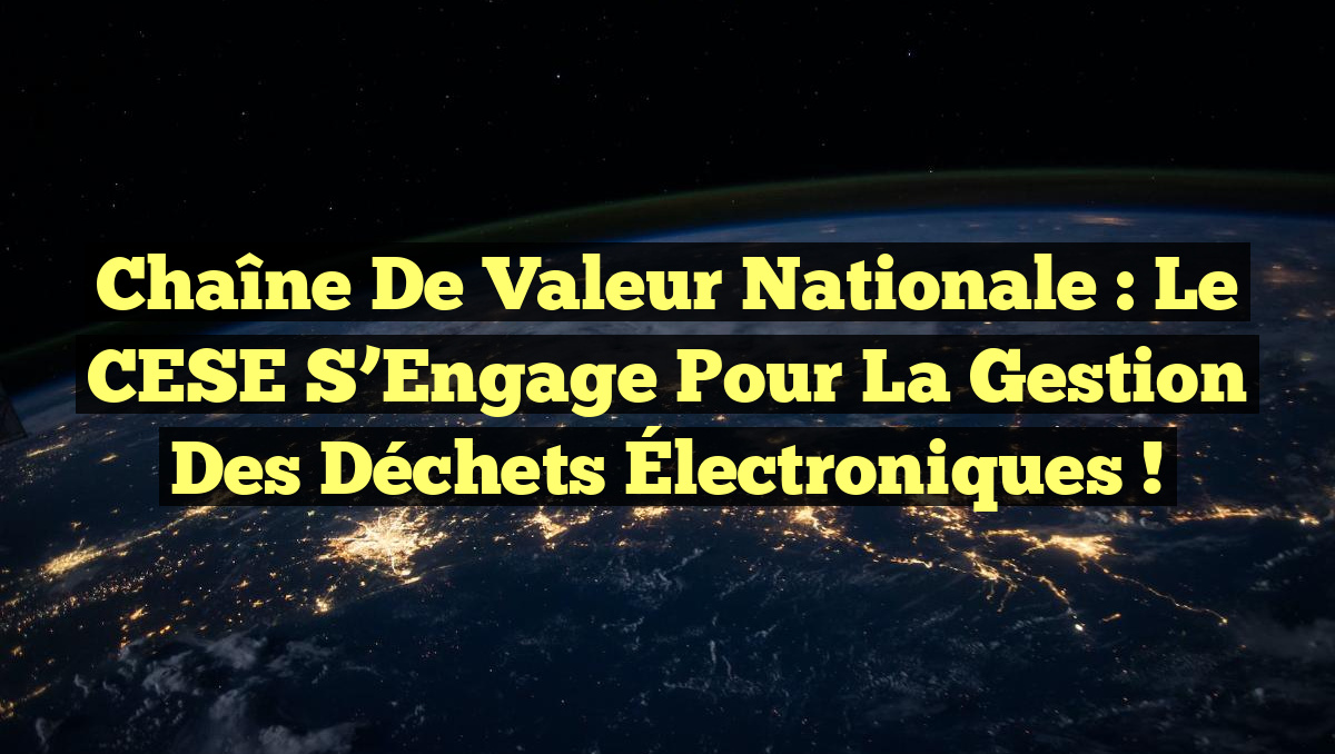 Chaîne de Valeur Nationale : Le CESE S&rsquo;Engage pour la Gestion des Déchets Électroniques !