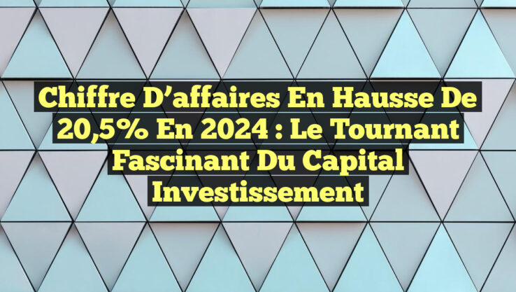 Chiffre d’affaires en hausse de 20,5% en 2024 : Le tournant fascinant du capital investissement