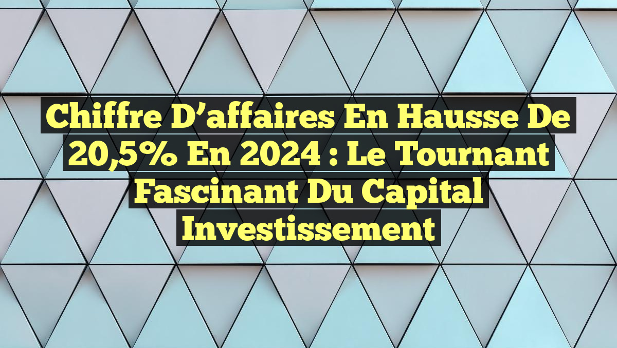 Chiffre d&rsquo;affaires en hausse de 20,5% en 2024 : Le tournant fascinant du capital investissement