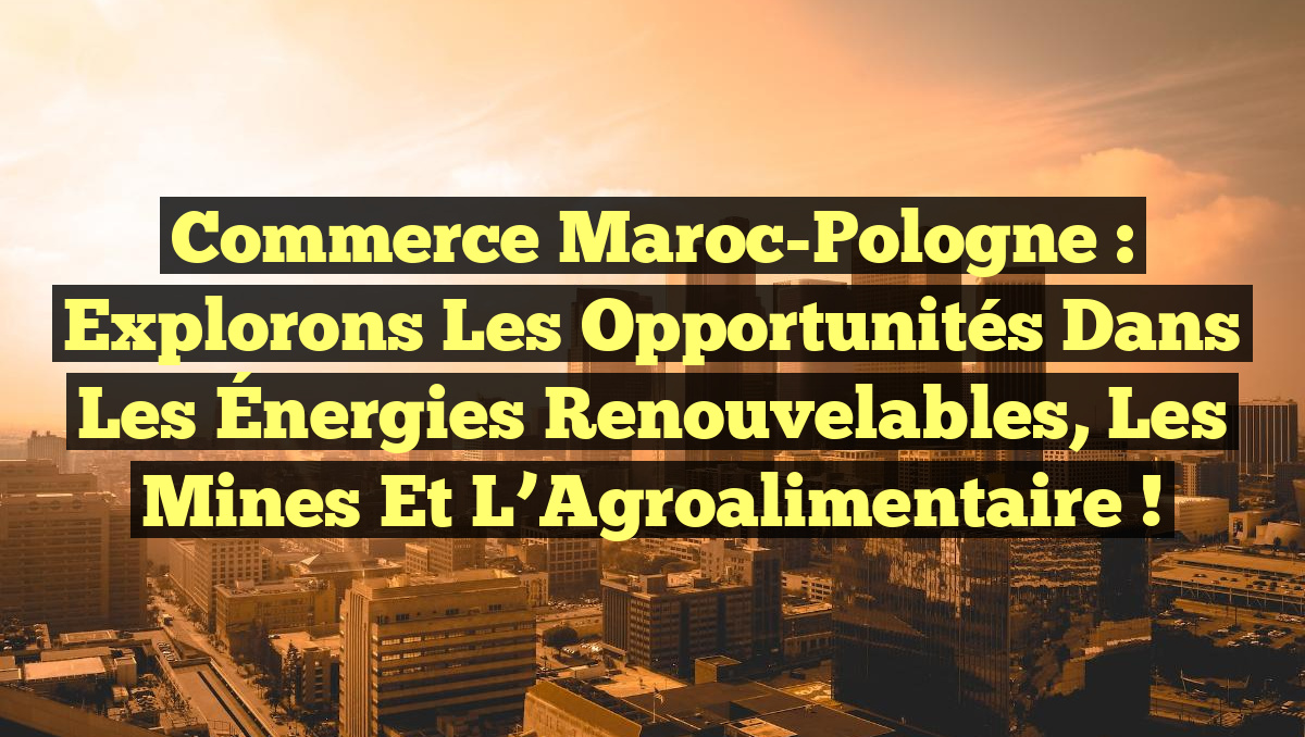 Commerce Maroc-Pologne : Explorons les opportunités dans les Énergies Renouvelables, les Mines et l&rsquo;Agroalimentaire !