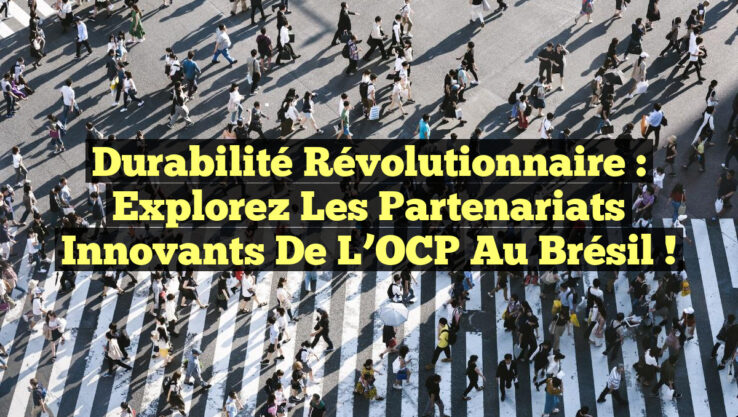 Durabilité Révolutionnaire : Explorez les Partenariats Innovants de l’OCP au Brésil !