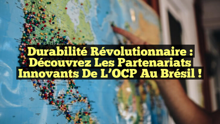 Durabilité Révolutionnaire : Découvrez les Partenariats Innovants de l’OCP au Brésil !