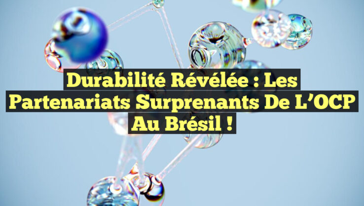 Durabilité Révélée : Les Partenariats Surprenants de l’OCP au Brésil !