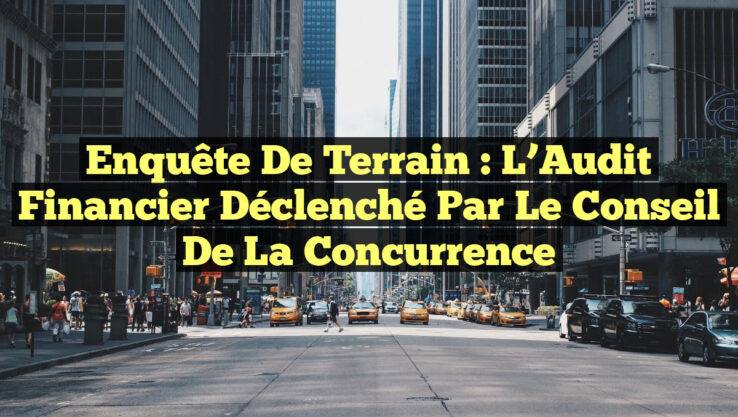 Enquête de Terrain : L’Audit Financier Déclenché par le Conseil de la Concurrence