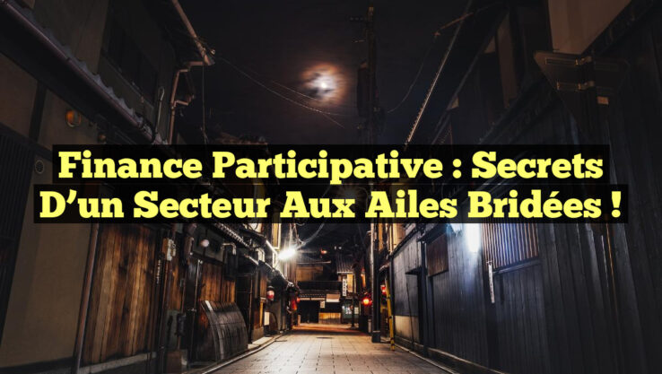 Finance participative : Secrets d’un secteur aux ailes bridées ! Finance participative : Secrets d’un secteur aux ailes bridées !