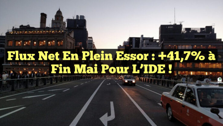 Flux Net en Plein Essor : +41,7% à Fin Mai pour l’IDE !