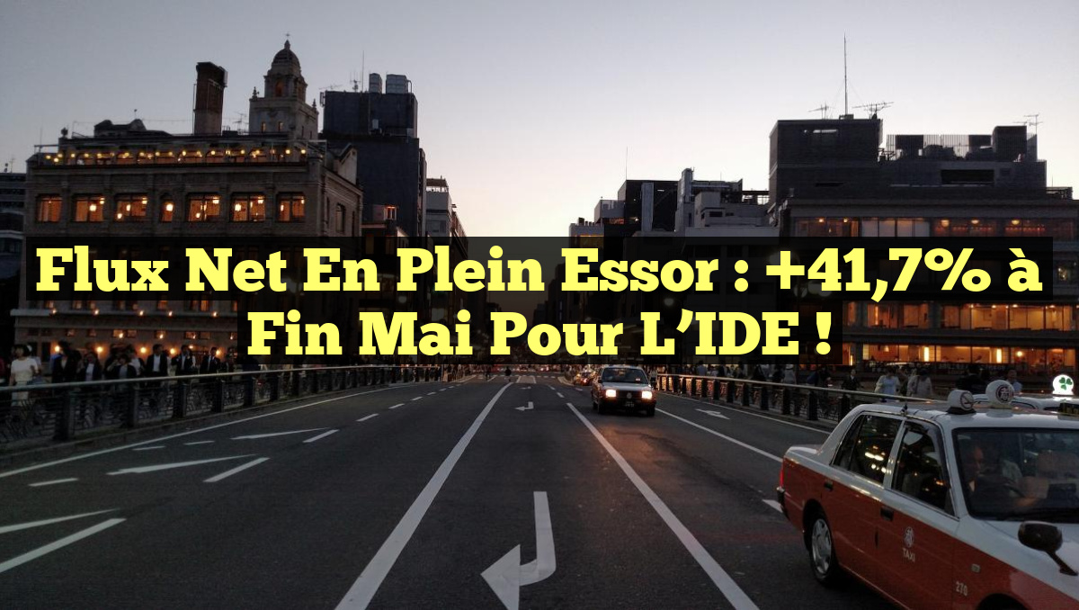 Flux Net en Plein Essor : +41,7% à Fin Mai pour l’IDE !
